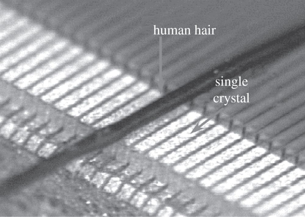 Технология 3Т и ультразвуковые датчики производства Mindray