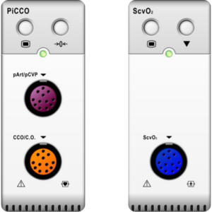 piccoscvo2-e1692791838758-300x300.png piccoscvo2-e1692791838758-300x300.png