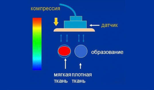 unnamed-6-e1620510756862.jpg unnamed-6-e1620510756862.jpg