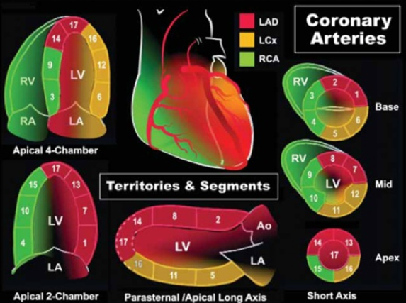 bullseye2.png bullseye2.png