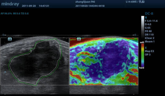 unnamed-7-e1620510784637.jpg unnamed-7-e1620510784637.jpg